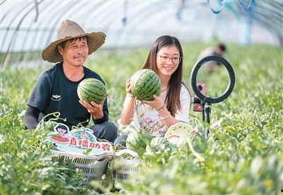 长兴夹浦吃瓜,一场别开生面的“吃瓜”盛宴