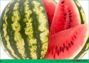 每日聪慧吃瓜列表,盘点娱乐圈新鲜事，揭秘热点背后的真相