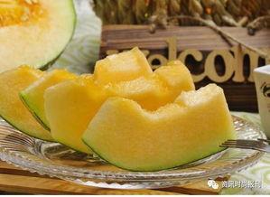 吃哈密瓜少女图片,甜蜜邂逅的瞬间