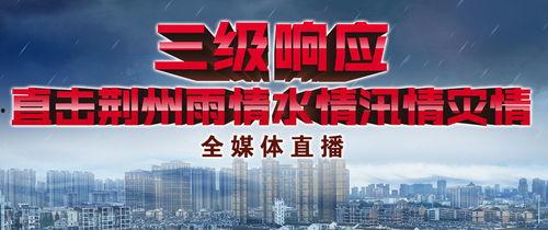 今日头条荆州新闻视频,聚焦本地热点，关注民生动态