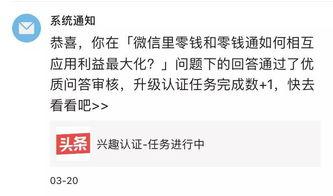 头条号兴趣认证的时间,见证成长与蜕变之旅