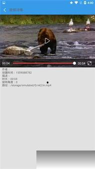 小奇最新爆料视频下载安装,揭秘视频下载安装全攻略