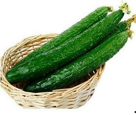 大众吃瓜小说有哪些,趣味横生的故事世界