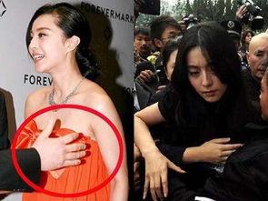明星被袭胸事件,明星遭遇袭胸事件引发公众关注与反思