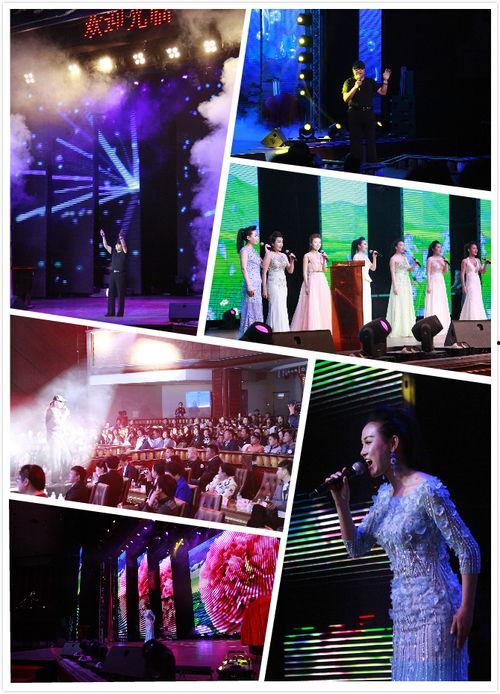 明星演唱会分红,幕后经济利益大揭秘