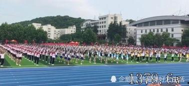 网红操场视频教程,打造时尚运动空间全攻略