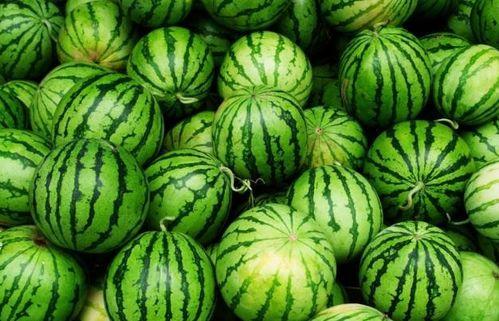 夏天吃瓜美滋滋的说说,尽享清凉美味，畅谈“吃瓜”乐趣