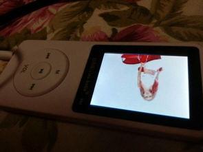 海诺官方爆料视频下载,深度解析最新动态与亮点