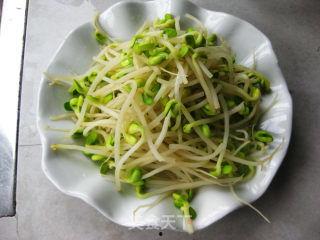 豆芽儿网红,从田间地头到网络红人的逆袭之路