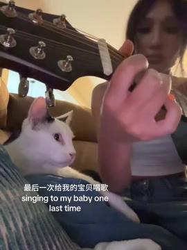 农场日记今日头条视频,今日头条视频揭秘农业现代化新篇章