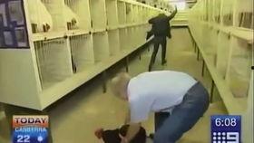 新闻采访爆料搞笑视频