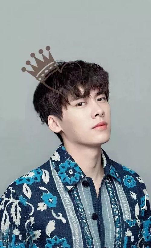 偶像男明星图片大全