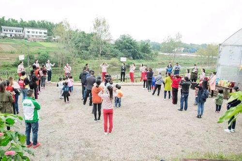 登封网红农场在哪,揭秘隐匿山间的田园风光与生态魅力”