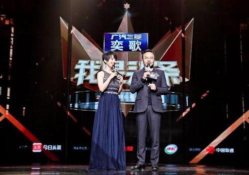 头条盛典主持人推荐,年度盛宴精彩纷呈