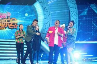 河北明星同乐会,璀璨星光下的欢乐盛宴