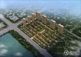 中央华府吃瓜事件,揭秘网络舆论的风暴与反思